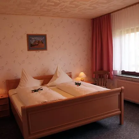 酒店 Haus Schwanensee 3*