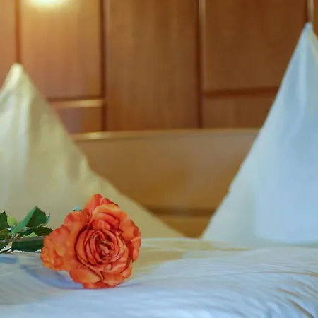 Haus Schwanensee 酒店 3*