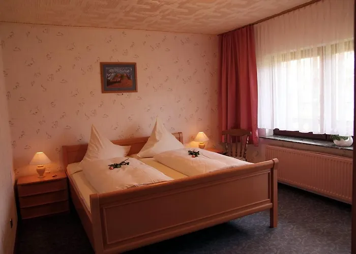 Hotell Haus Schwanensee 3*